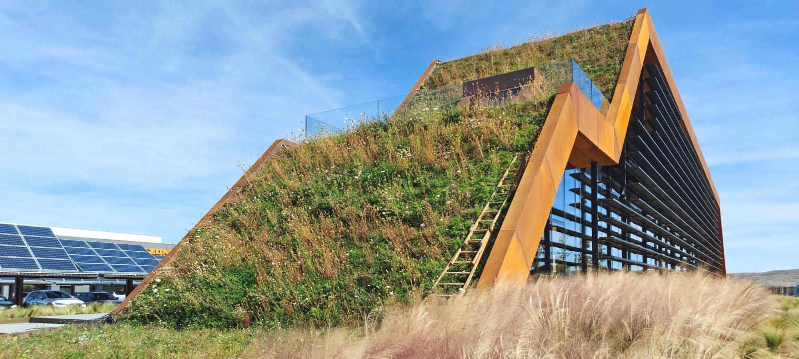 Pitched green roof 